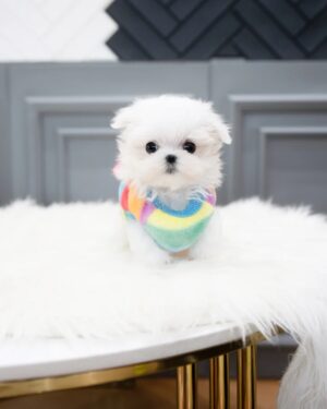 Rosie